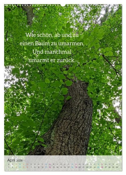 Produktbild: Manchmal - Poetische Momentaufnahmen (Wandkalender 2026 DIN A2 hoch), CALVENDO Monatskalender