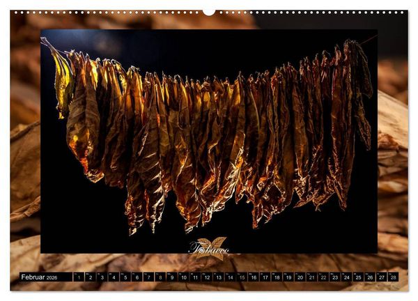 Produktbild: Tobacco - Genuss und Flair der Tabakkultur (Wandkalender 2026 DIN A2 quer), CALVENDO Monatskalender
