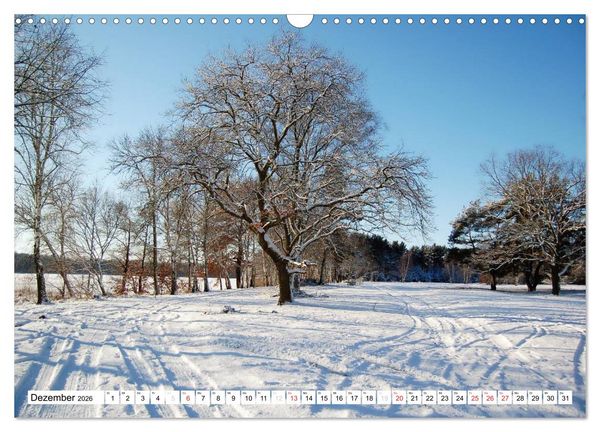Produktbild: Vier Jahreszeiten im Land Brandenburg (Wandkalender 2026 DIN A3 quer), CALVENDO Monatskalender