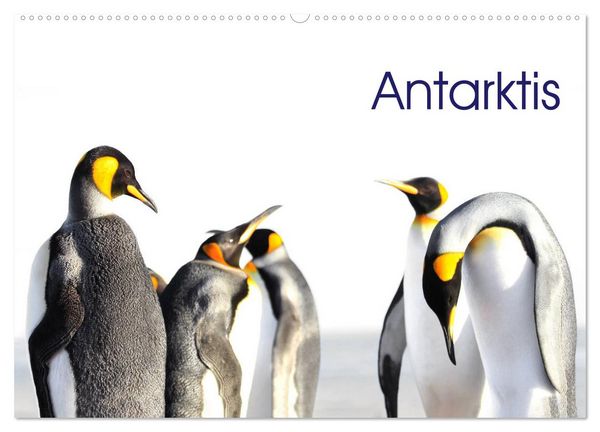 Produktbild: Antarktis - viaje.ch (Wandkalender 2026 DIN A2 quer), CALVENDO Monatskalender