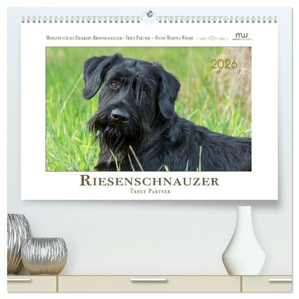 Produktbild: Riesenschnauzer - Treue Partner (hochwertiger Premium Wandkalender 2026 DIN A2 quer), Kunstdruck in Hochglanz