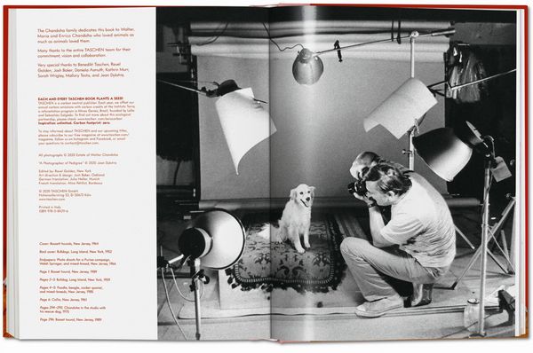 Produktbild: Walter Chandoha