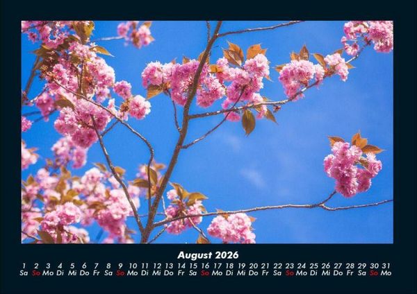 Produktbild: Blumentr&auml;ume 2026 Fotokalender DIN A4
