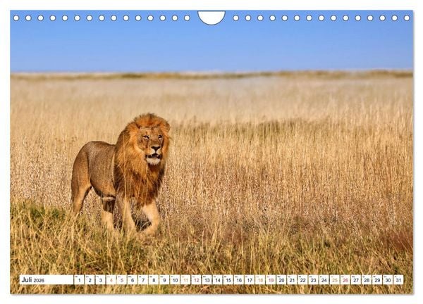 Produktbild: AUF BEUTEZUG (Wandkalender 2026 DIN A4 quer), CALVENDO Monatskalender