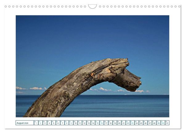 Produktbild: Der Weststrand am Dar&szlig; (Wandkalender 2026 DIN A3 quer), CALVENDO Monatskalender