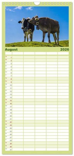 Produktbild: Familienplaner 2026 - Allg&auml;uer Sch&ouml;nheiten Allg&auml;u - Land der K&uuml;he mit 5 Spalten (Wandkalender, 21 x 45 cm) CALVENDO