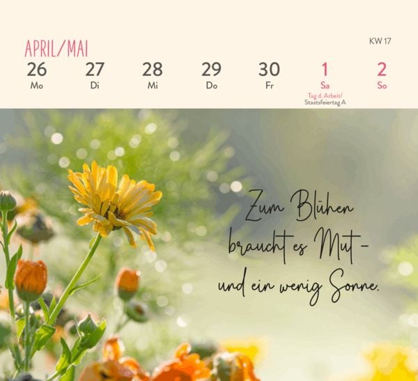 Produktbild: Mini-Wochenkalender 2027: Einatmen. Ausatmen. Sein.