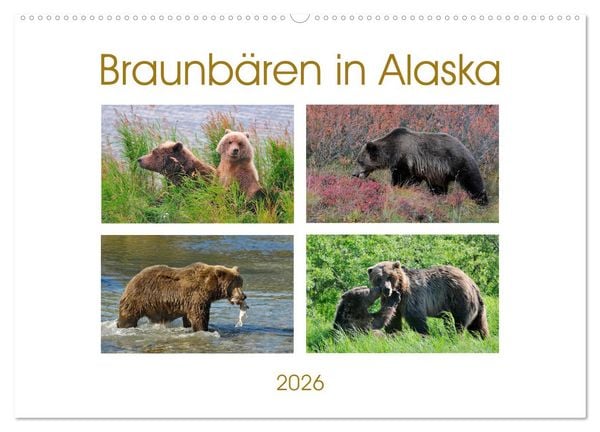 Produktbild: Braunb&auml;ren in Alaska (Wandkalender 2026 DIN A2 quer), CALVENDO Monatskalender
