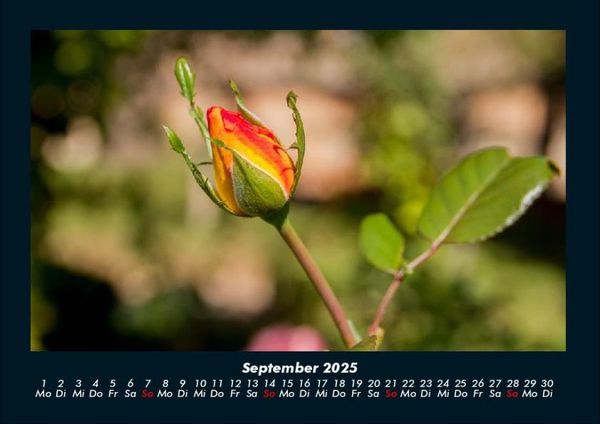 Produktbild: Blumenkalender 2025 Fotokalender DIN A4