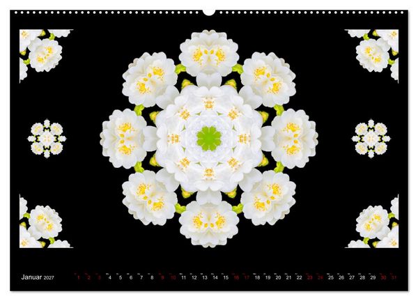 Produktbild: ROSEN MANDALAS (hochwertiger Premium Wandkalender 2027 DIN A2 quer), Kunstdruck in Hochglanz