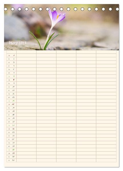Produktbild: Mit Blick in den Garten (Tischkalender 2026 DIN A5 hoch), CALVENDO Monatskalender