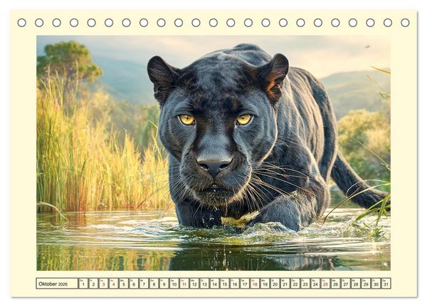 Produktbild: Schwarze Panther. Geheimnisvolle Schatten der Wildnis (Tischkalender 2026 DIN A5 quer), CALVENDO Monatskalender