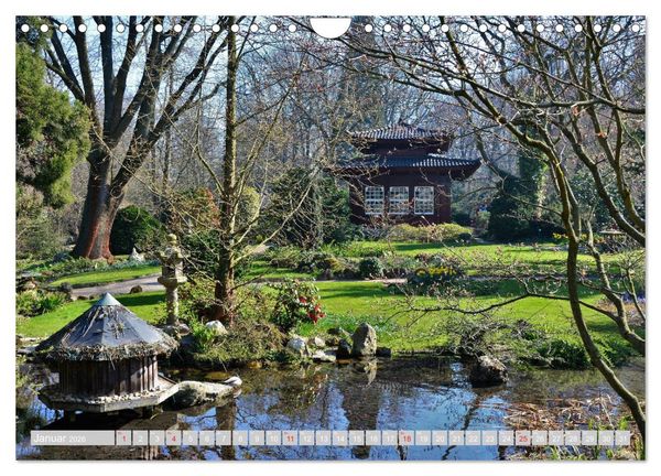 Produktbild: Fern&ouml;stlicher Zauber Japanischer Garten Leverkusen (Wandkalender 2026 DIN A4 quer), CALVENDO Monatskalender