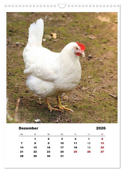 Produktbild: Bauernhoftiere, ganz nah dran (Wandkalender 2026 DIN A3 hoch), CALVENDO Monatskalender