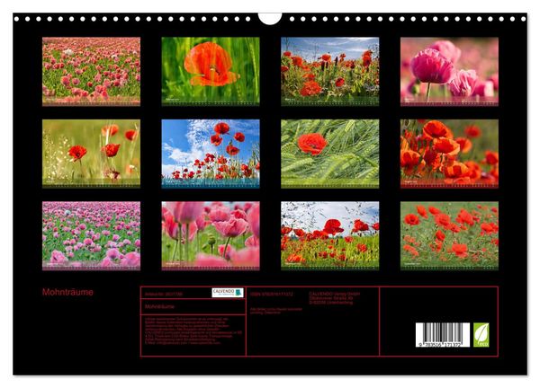 Produktbild: Mohntr&auml;ume (Wandkalender 2026 DIN A3 quer), CALVENDO Monatskalender