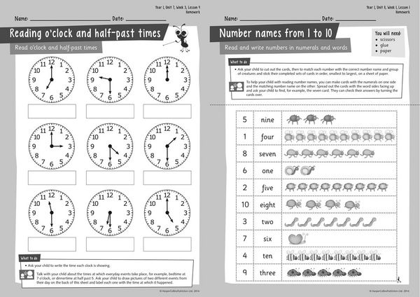 Produktbild: Busy Ant Maths -- Year 1 Homework Guide