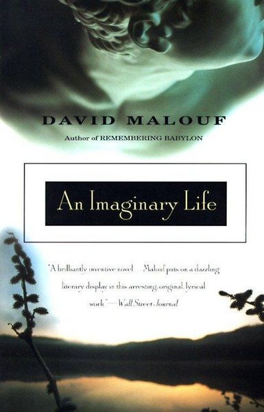 Produktbild: An Imaginary Life