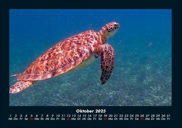 Produktbild: Karibik 2025 Fotokalender DIN A4