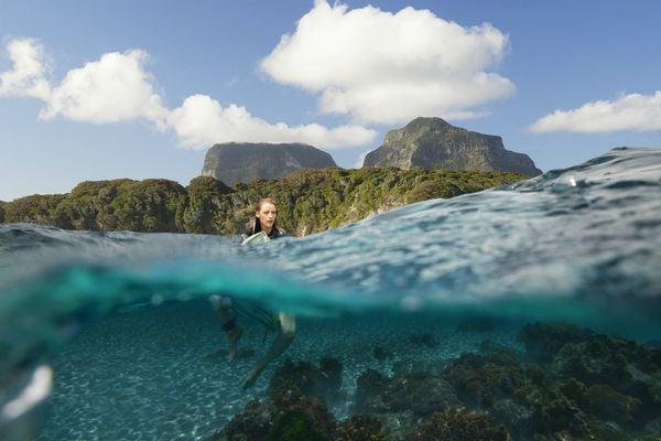 Produktbild: The Shallows - Gefahr aus der Tiefe