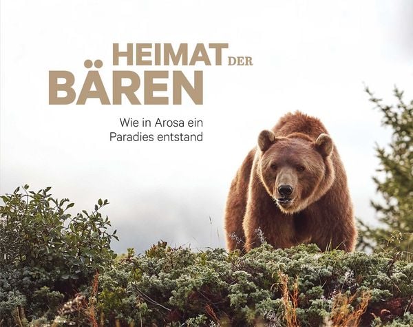 Heimat der Bären, Paperback von Pascal Jenny,Hans Schmid, Edition Somedia, 978-3-907095-94-2
