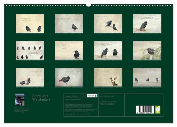 Produktbild: Stare und Weisheiten (hochwertiger Premium Wandkalender 2027 DIN A2 quer), Kunstdruck in Hochglanz