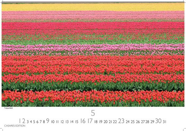 Produktbild: Niederlande Kalender 2027 &ndash; Wandkalender | Fotokalender Mitteleuropa 24x35cm - Entdecken Sie die sch&ouml;nsten Sehensw&uuml;rdigkeiten der Niederlande