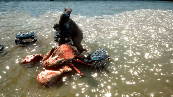 Skull Island - Rise of Kong