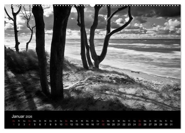 Produktbild: Strandspaziergang an der Ostsee (Wandkalender 2026 DIN A2 quer), CALVENDO Monatskalender