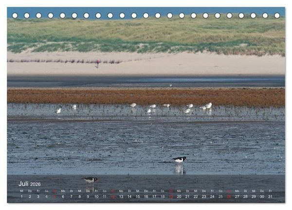 Produktbild: Texel - Meine Insel (Tischkalender 2026 DIN A5 quer), CALVENDO Monatskalender