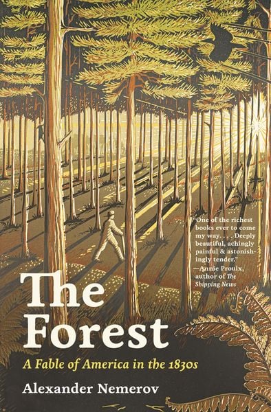 Produktbild: The Forest