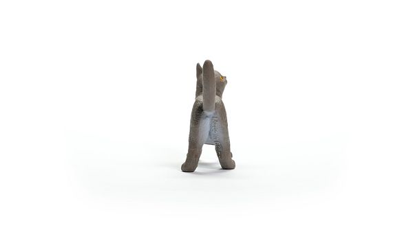 Produktbild: schleich&reg; 13973 Britisch Kurzhaar Katze
