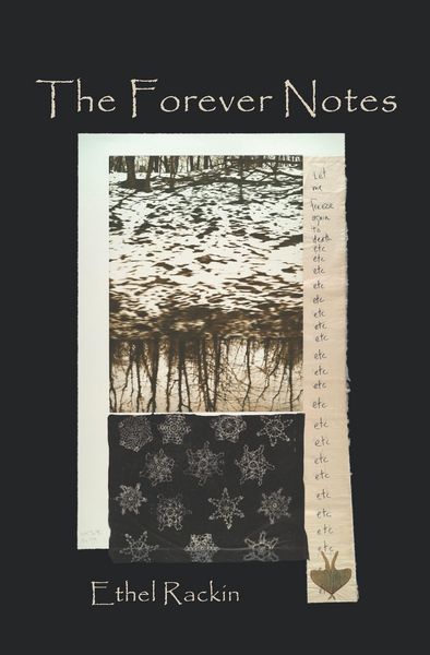 Produktbild: Forever Notes, The