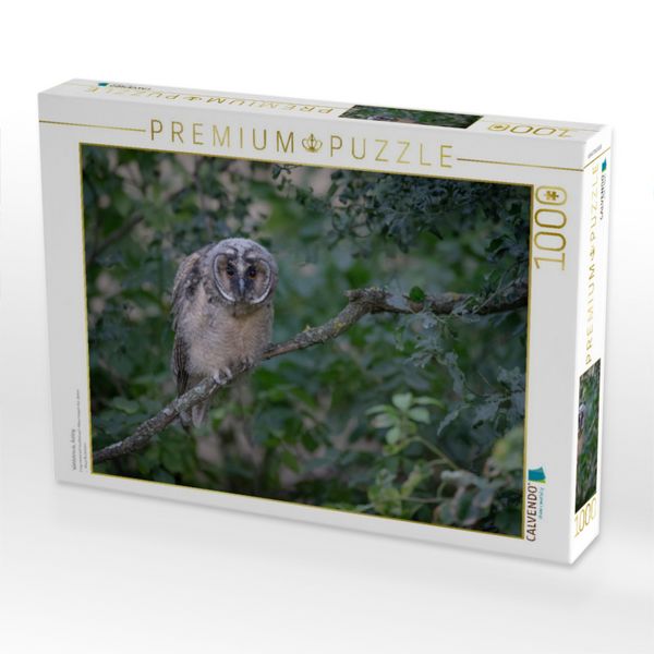 Produktbild: CALVENDO Puzzle Waldohreule, &Auml;stling | 1000 Teile Lege-Gr&ouml;&szlig;e 64x48cm Foto-Puzzle f&uuml;r gl&uuml;ckliche Stunden