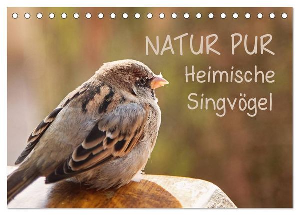 Produktbild: NATUR PUR Heimische Singv&ouml;gel (Tischkalender 2026 DIN A5 quer), CALVENDO Monatskalender