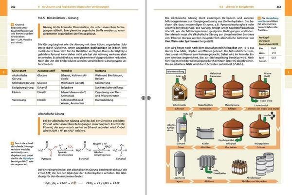 Produktbild: Basiswissen Schule &ndash; Chemie Abi