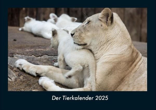 Der Tierkalender 2025 Fotokalender DIN A4