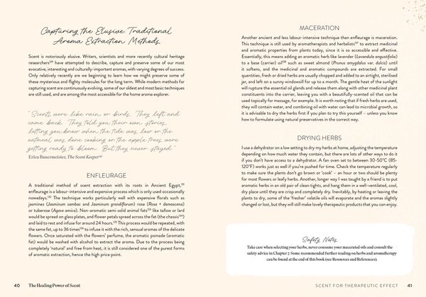 Produktbild: The Healing Power of Scent