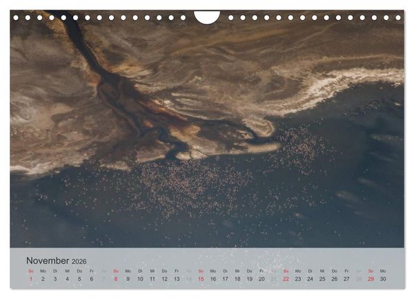 Produktbild: Flamingo Impressionen 2026 (Wandkalender 2026 DIN A4 quer), CALVENDO Monatskalender