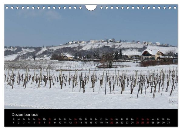 Produktbild: Weinidylle im S&uuml;dburgenland (Wandkalender 2026 DIN A4 quer), CALVENDO Monatskalender