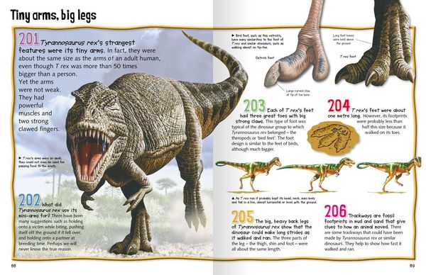 Produktbild: Wild About Dinosaurs