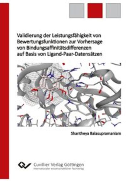 Validierung der Leistungsfähigkeit von Bewertungsfunktionen zur Vorhersage von Bindungsaffinitätsdifferenzen auf Basis v