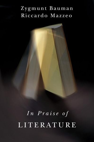 Produktbild: In Praise of Literature