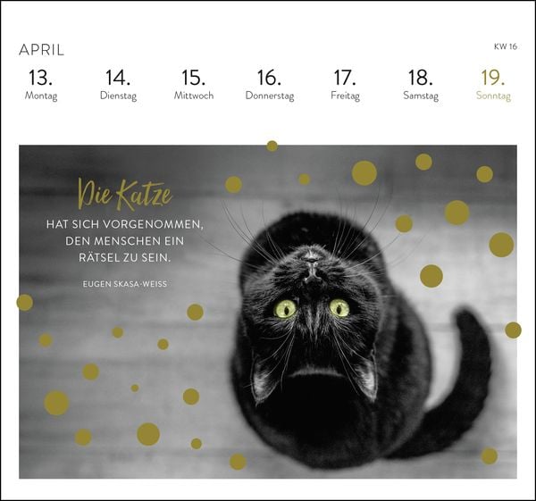 Produktbild: Postkartenkalender 2026: Inspirierende Worte für Katzenfreunde