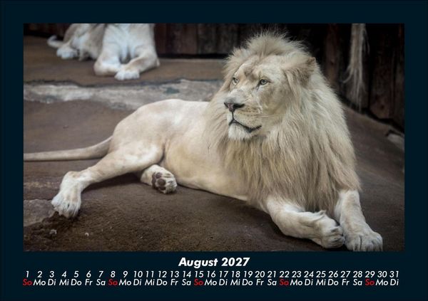 Produktbild: Welt der Tiere 2027 Fotokalender DIN A5