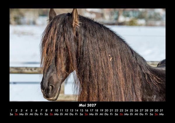 Produktbild: Die Welt der Pferde 2027 Fotokalender DIN A3
