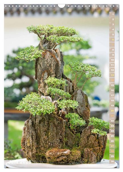Produktbild: Bonsai: Gartenkunst im Kleinen (Wandkalender 2026 DIN A3 hoch), CALVENDO Monatskalender