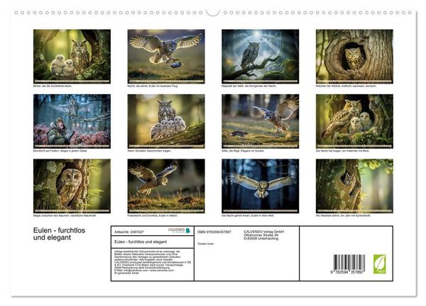 Produktbild: Eulen - furchtlos und elegant (hochwertiger Premium Wandkalender 2027 DIN A2 quer), Kunstdruck in Hochglanz