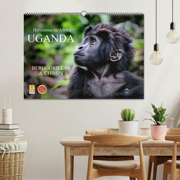 Produktbild: UGANDA - Berggorillas & Chimps (Wandkalender 2026 DIN A2 quer), CALVENDO Monatskalender