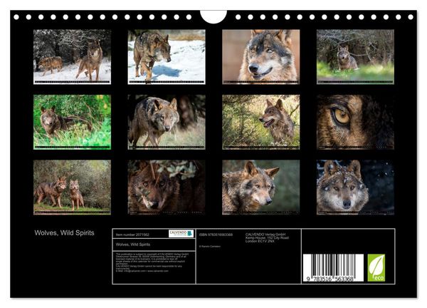 Produktbild: Wolves, Wild Spirits (Wall Calendar 2026 DIN A4 landscape), CALVENDO 12 Month Wall Calendar