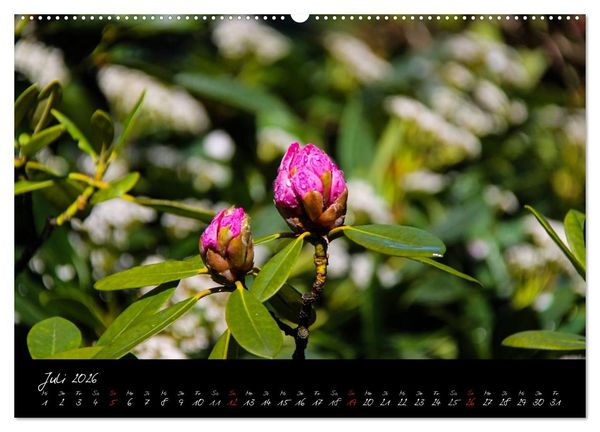 Produktbild: Butchart Gardens 2026 (hochwertiger Premium Wandkalender 2026 DIN A2 quer), Kunstdruck in Hochglanz